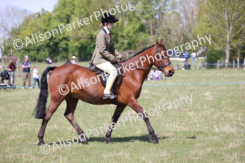 20250427-3174 - Class 33 - Best Pony 14.2hh and Under