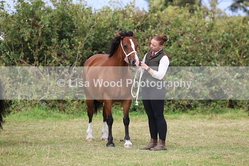 3E7A4696 - Class 16: Best Grass Kept