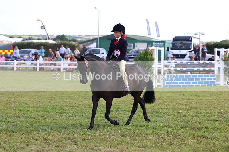 3E7A3965 - Supreme Championship