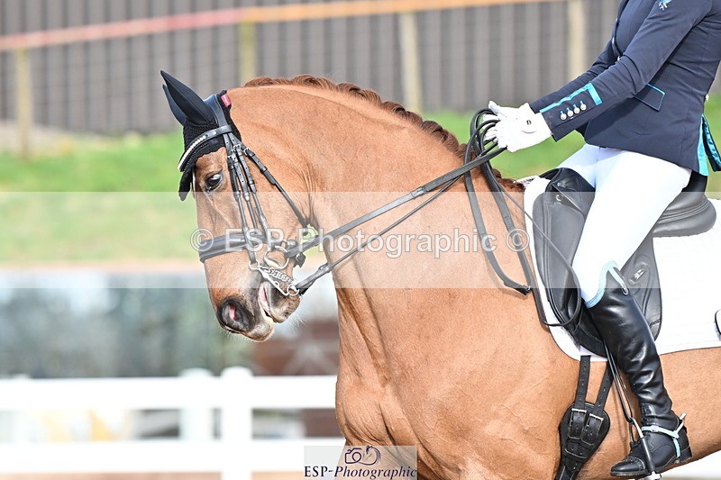 240218A-144744-08221 - 219-Jessica.Davies-Kadanz.II