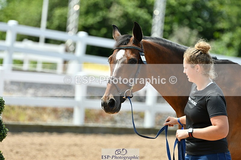 230719A-130621-00280 - Trot Up 1pm to 2pm