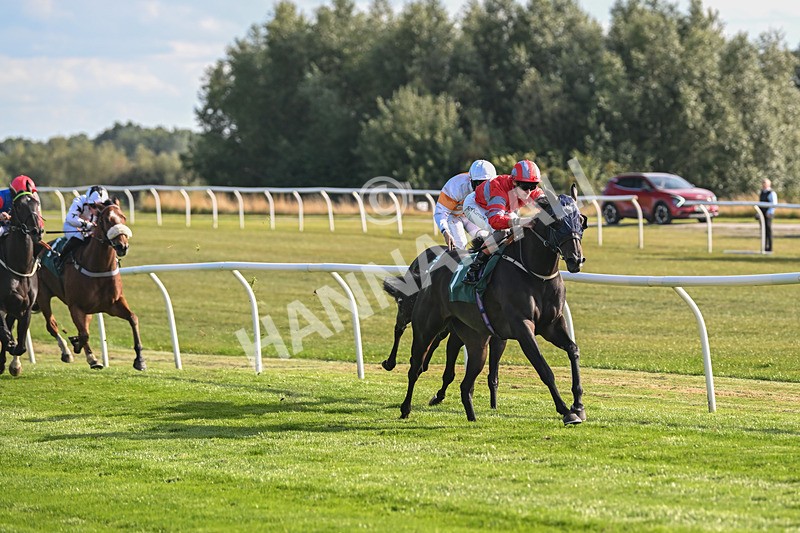 090925-Race 5-Dream Deal-9210 - Race 5