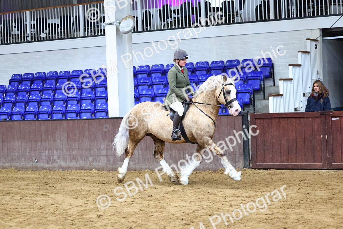 SBM_003507 - Class 37 - 80cm Training Stakes