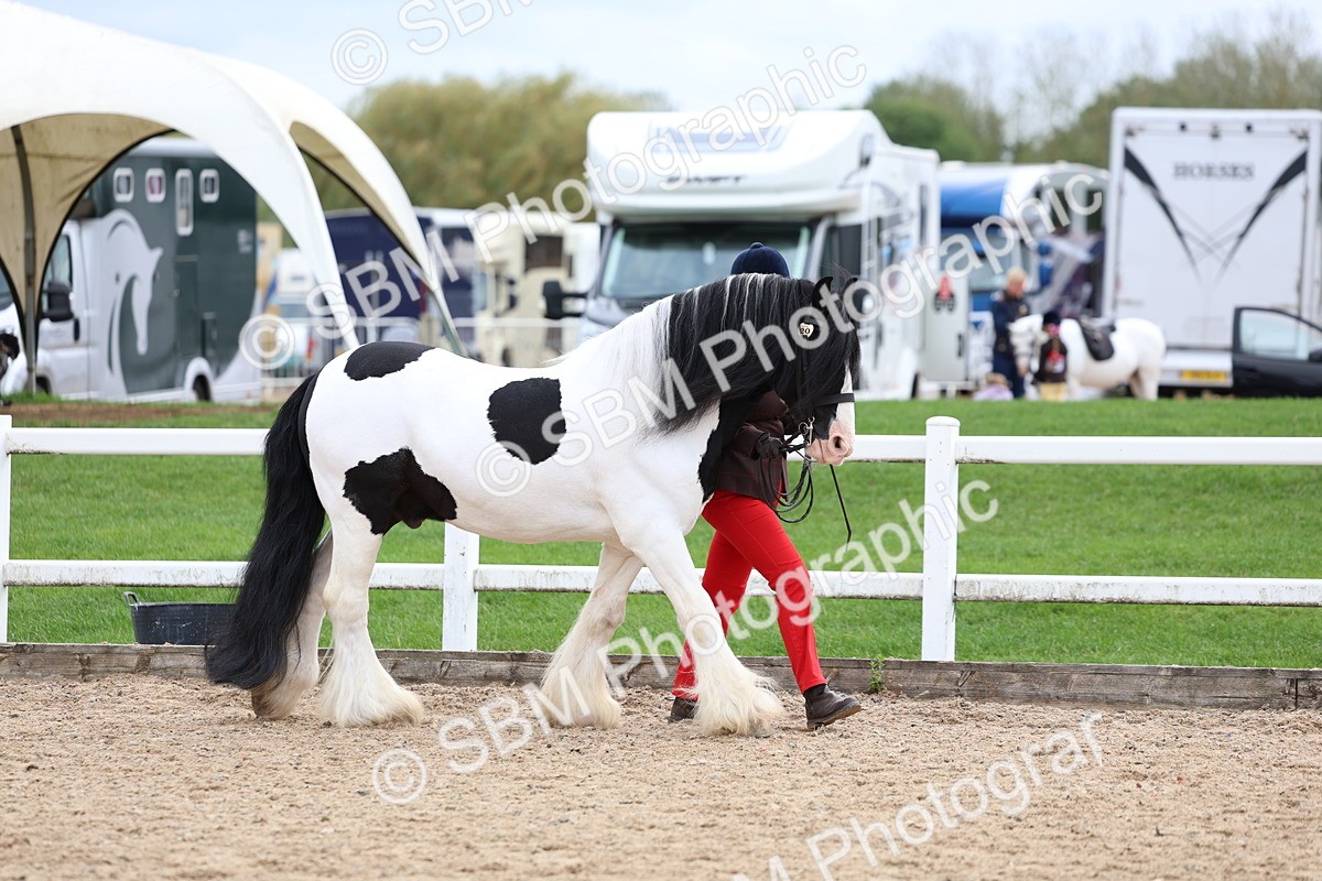 SBM_05808 - Class 29 - IH Veteran Pony