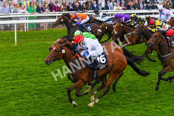 190523-Race 7-Kuwait City-0962 - Race 7 5.15pm Irish Champions Festival Handicap