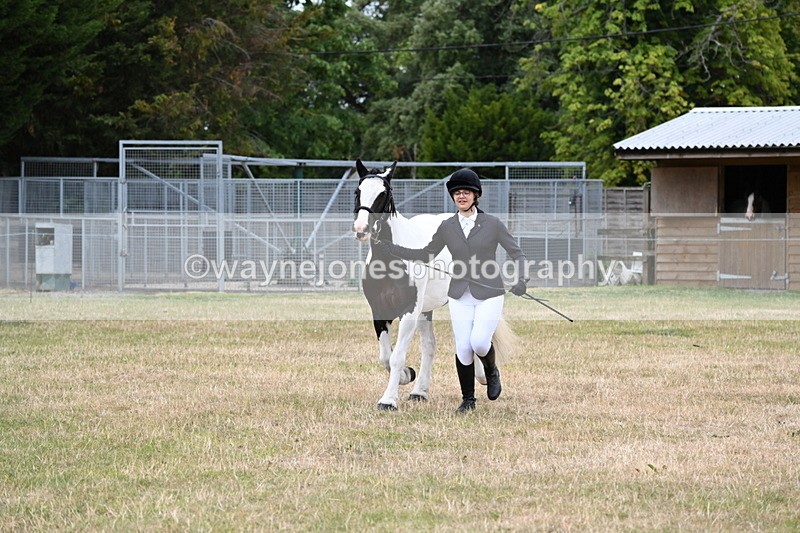 WJ6_4248 - Class 10 Coloured In-hand