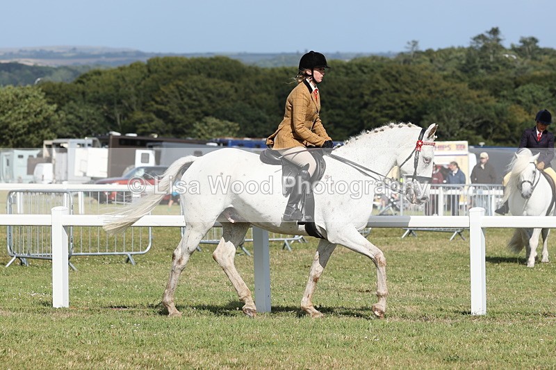 JPP_2873 - Class 20: Working Hunter 70cm