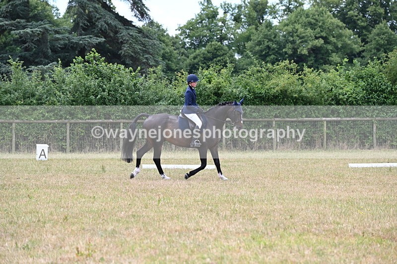 WJ6_3745 - Time 11:43 to 12:14