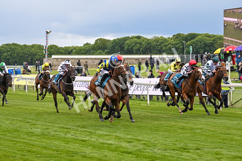 130526-Race 6-Startled-3431 - Race 6 4.40pm Conundrum HR Consulting Handicap