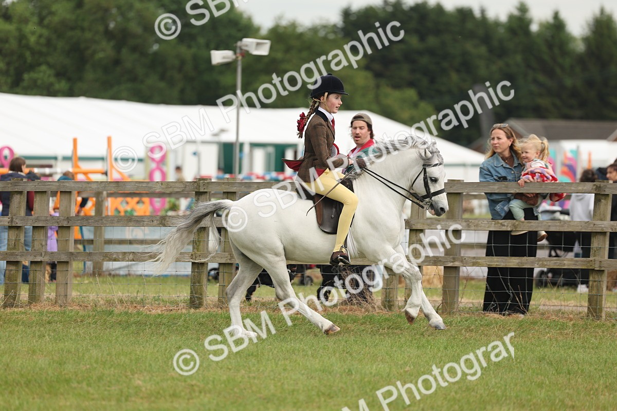 SBM_09128 - Class 78-80 - Ridden M&M Non Welsh Ponies