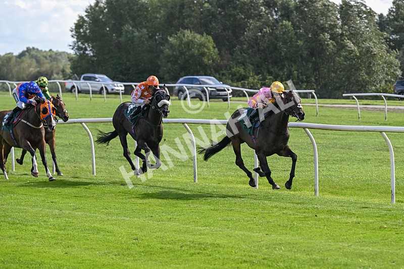 080926-Race 3-Battenburg Belle-2274 - Race 3 3.03pm Fifth Regiment Royal Artillery Handicap (Div I)