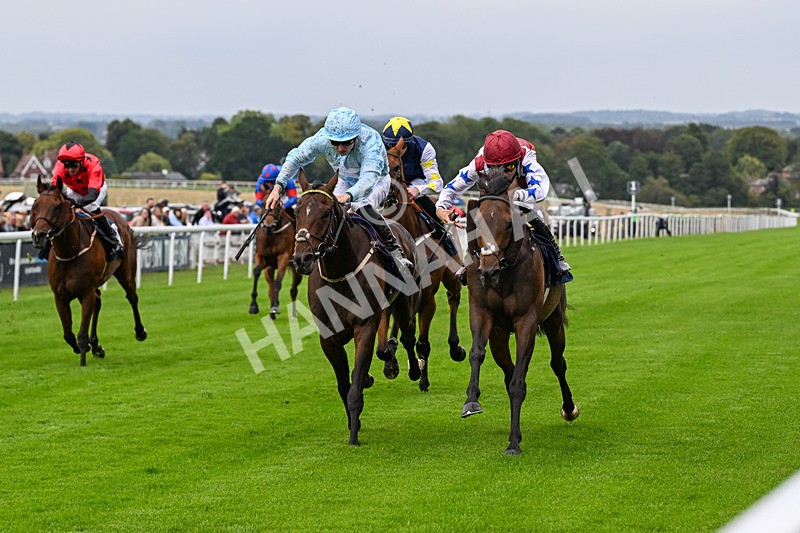 290826-Race 3-Fans Favourite-6467 - Race 3 2.55pm Dearing Plastics Celebrating 40 Years Handicap