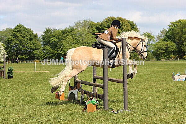 IMG_4248 - Working Hunter
