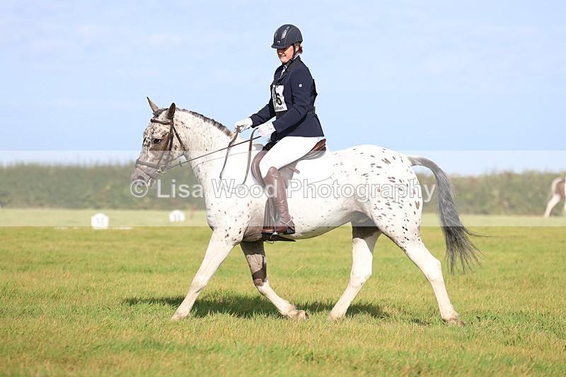 3E7A6018 - Class 1: Trebudannon Open: Dressage (Part 2)