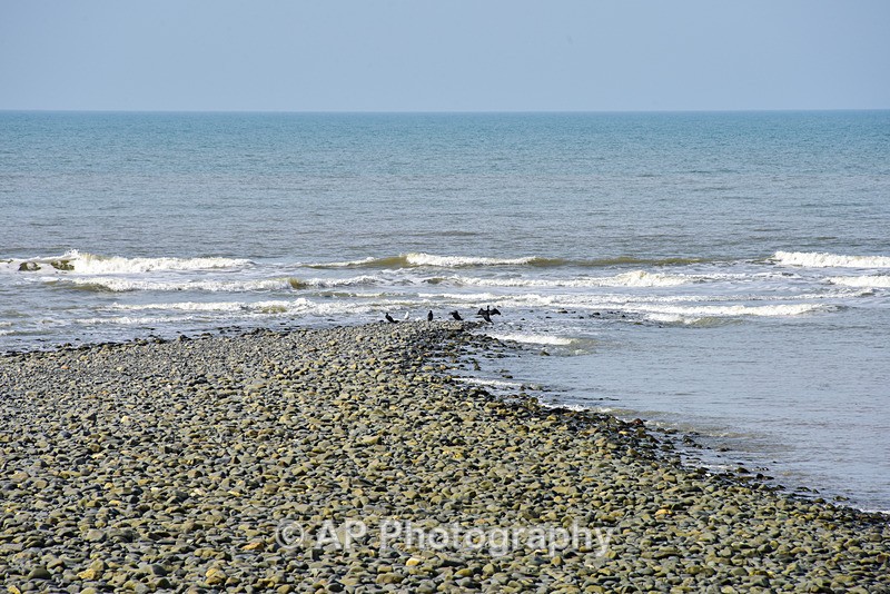 ACP_7300-2 - Clarach to Wallog