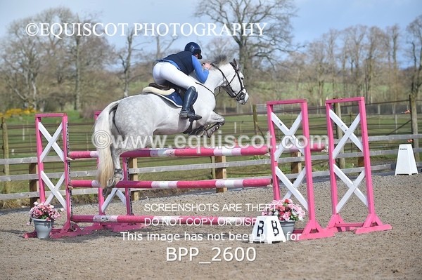 BPP_2600 - CLASS 28 48cm Pony Royal Highland Show Championship Qualifier