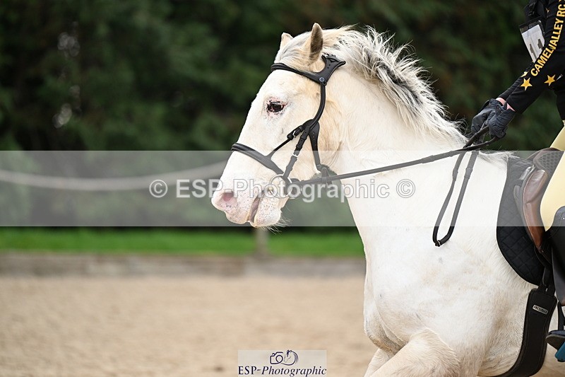 250309A-094010-00278 - Cls 01 70cm 09.00 to CW