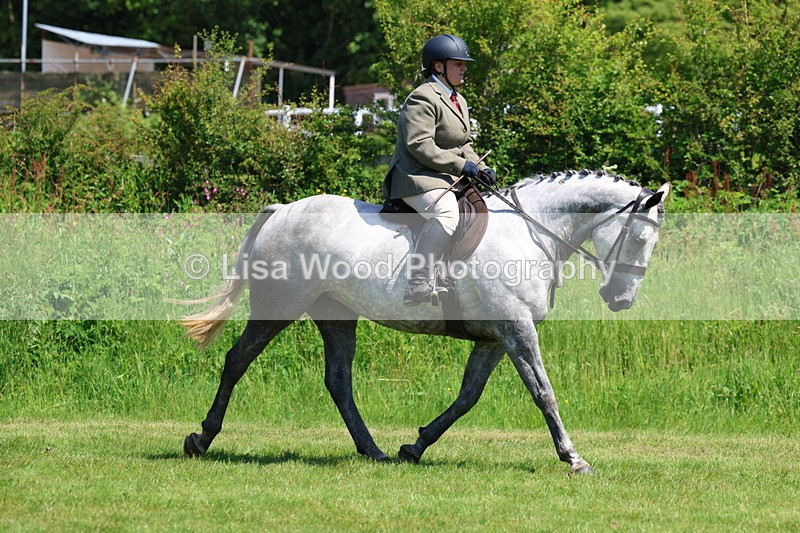 3E7A8211 - Class 13: Ridden Hunter