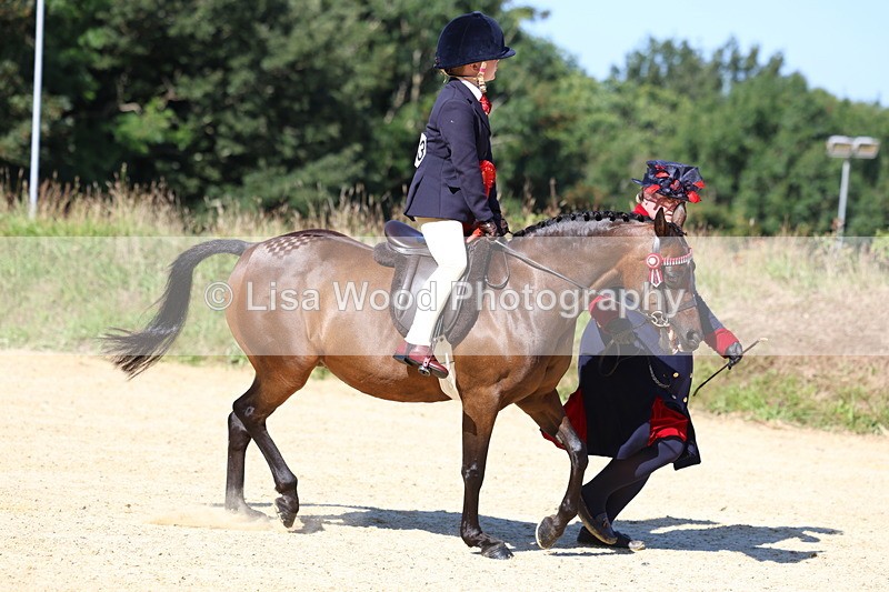 3E7A7975 - Class 14: Tack and Turnout