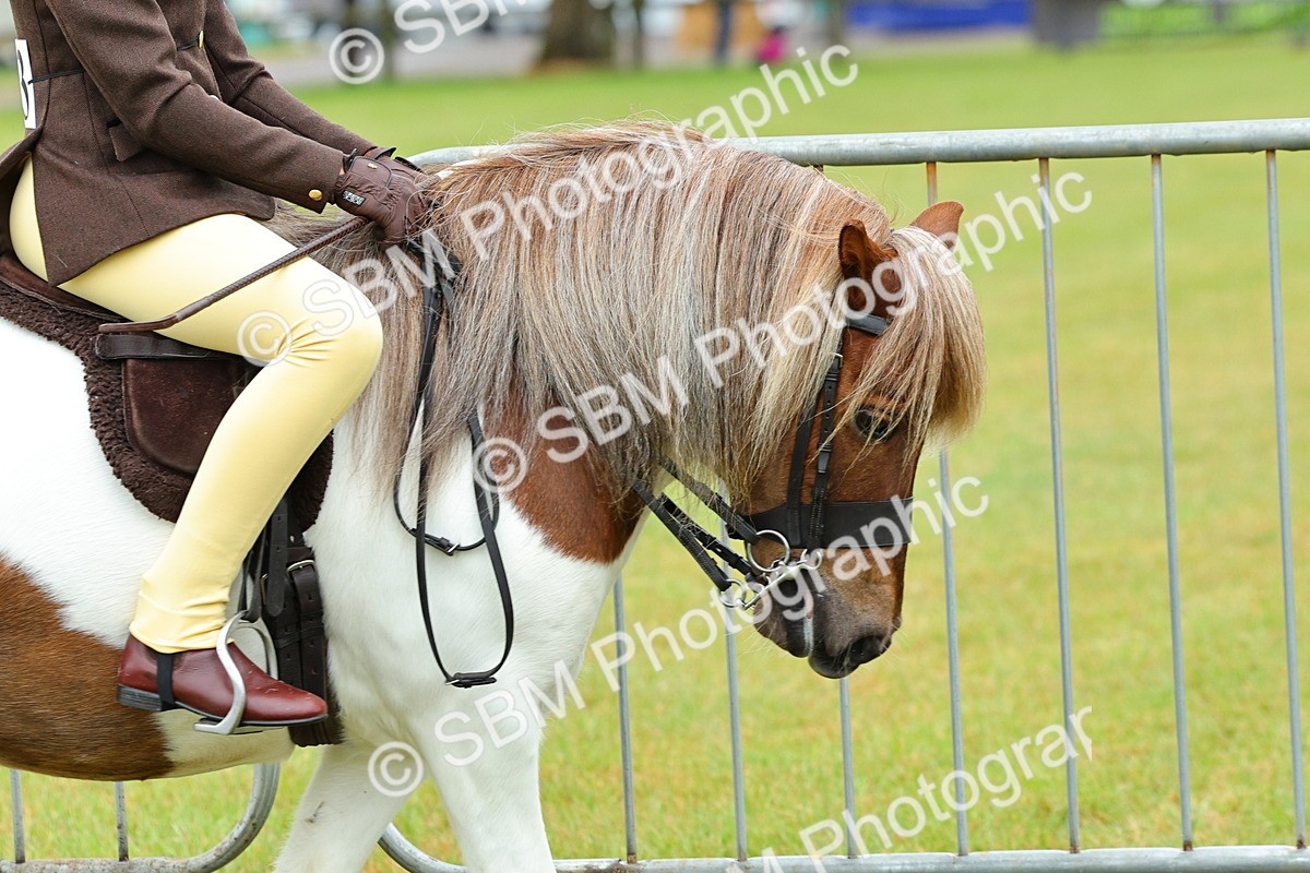 SBM_01125 - Class 1-4 - BSPA Ridden