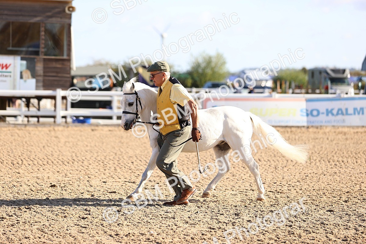 SBM_08498 - Class 402 - IH Veteran Pony