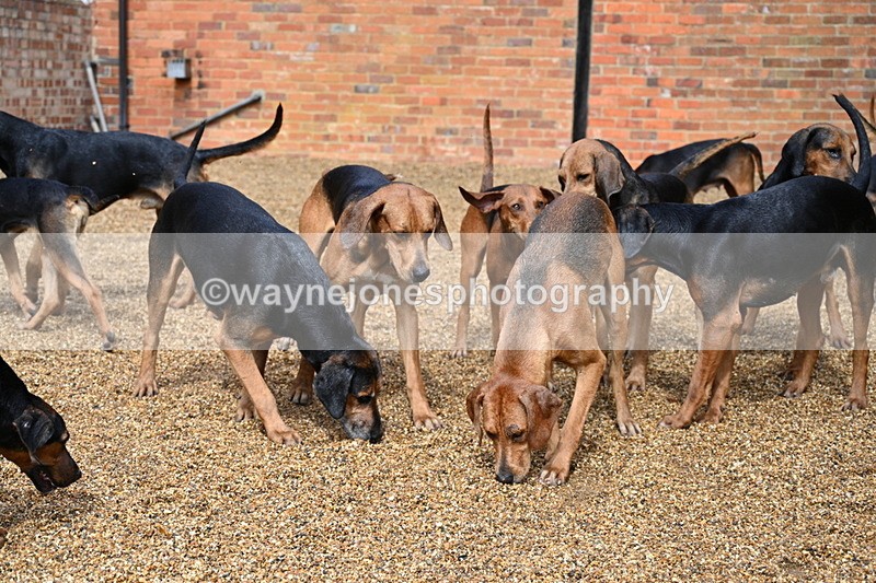 WJ7_7006 - Berks & Bucks at Blandy’s Farm 31-08-25