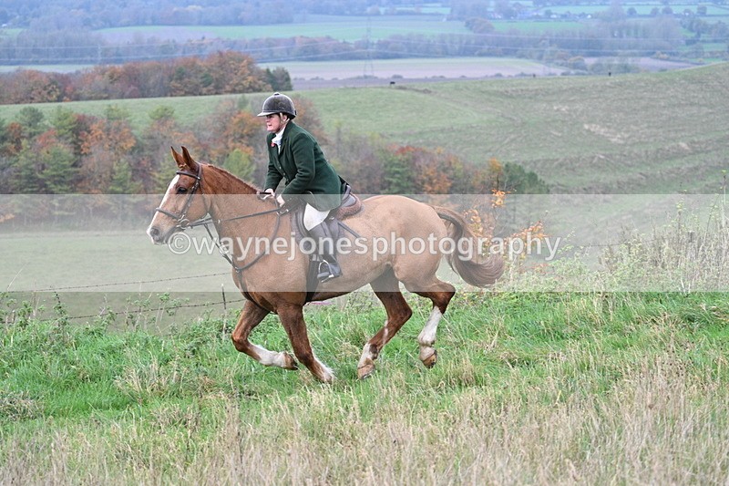 WJ7_9882 - Camera 1 & Last fence
