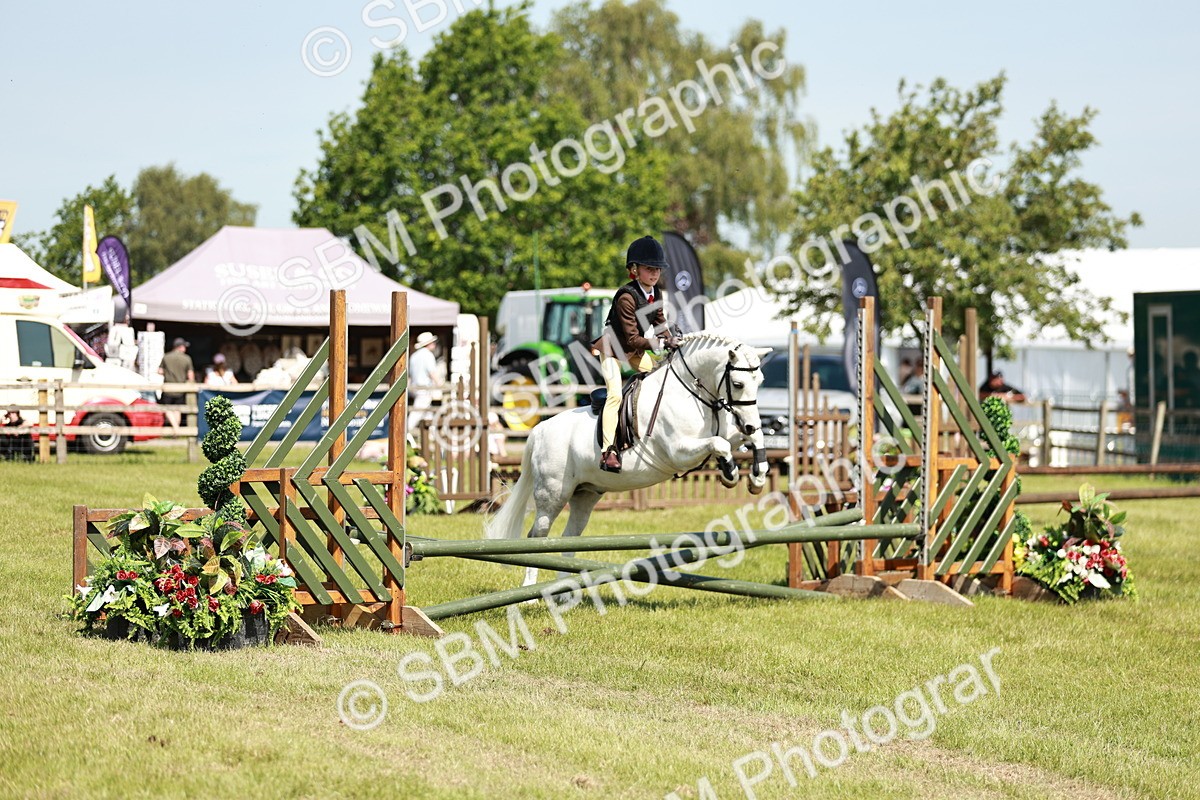 SBM_13533