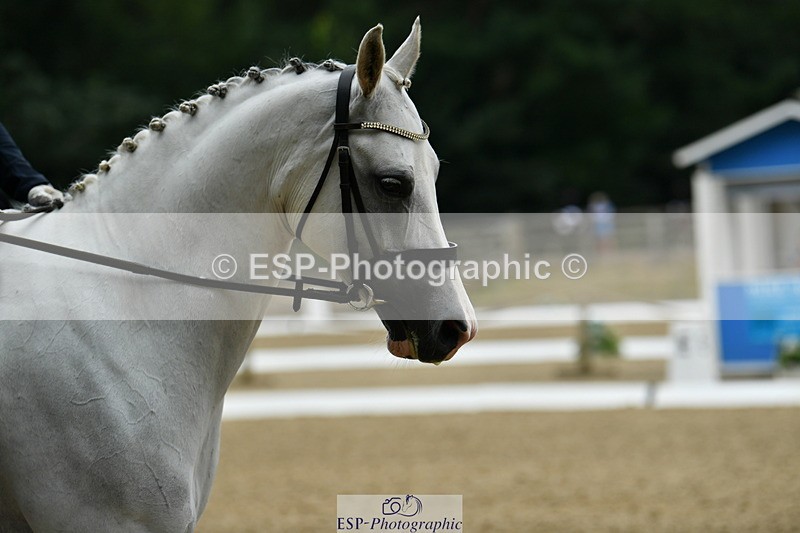 250718A-100814-00048 - 123-Jessica.Perry-Silver.Secret