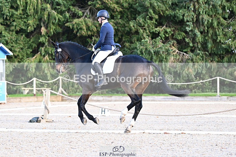 231110-134108-01022 - Cls 4 Novice 39Q