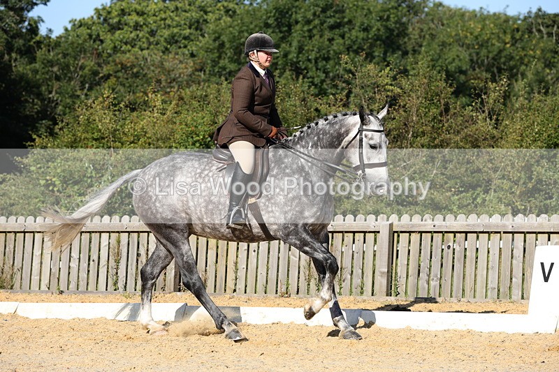 1X9A7668 - Class 8: Small Ridden Hunter