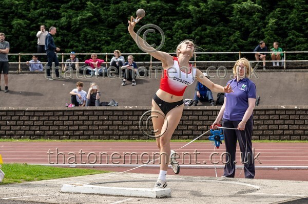 SIAB23-914325 - Field Female Set Two