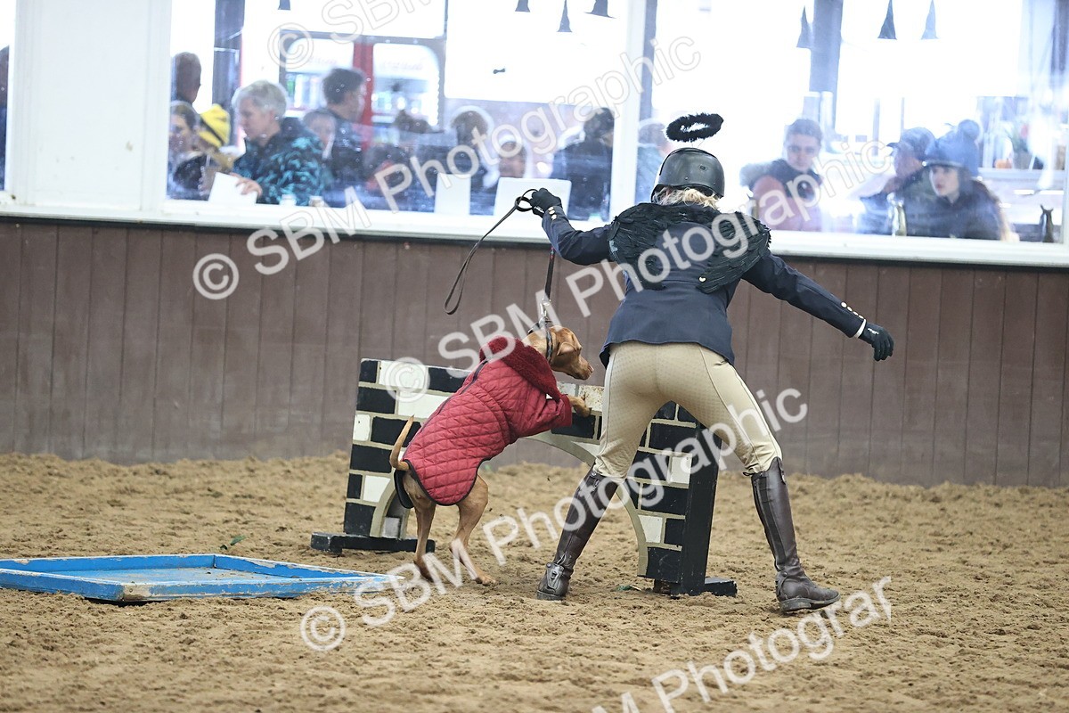 SBM_001479 - Class 3 - Horse & Hound 60cm