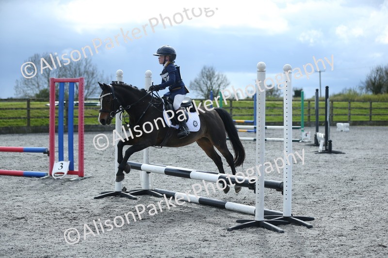 20260412-1810 - Show Jumping