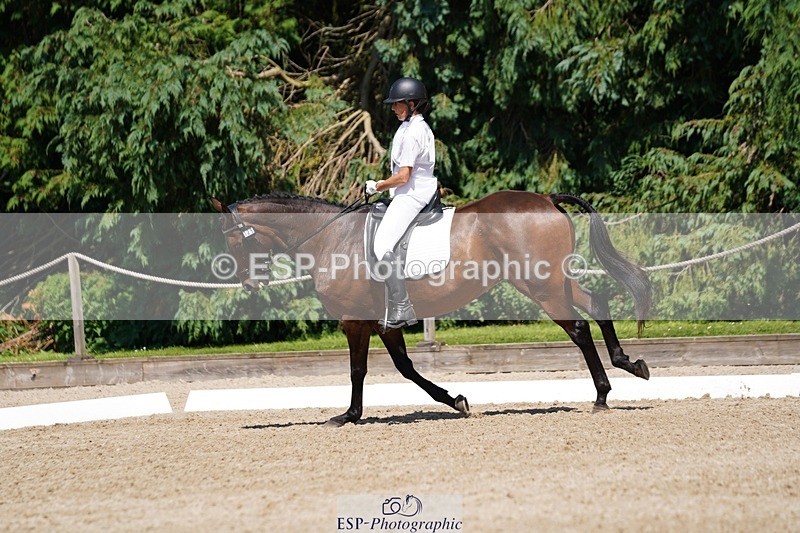 240719-151350-02561 - 129-Julie_Wheeler-Be_My_Scout