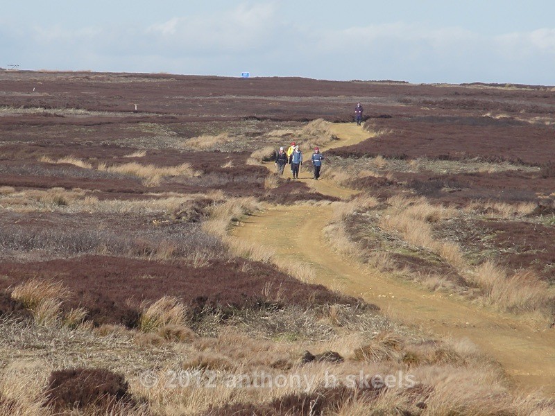 055 Striding out for Ana Cross - Third Saturday Walks Collection Two.