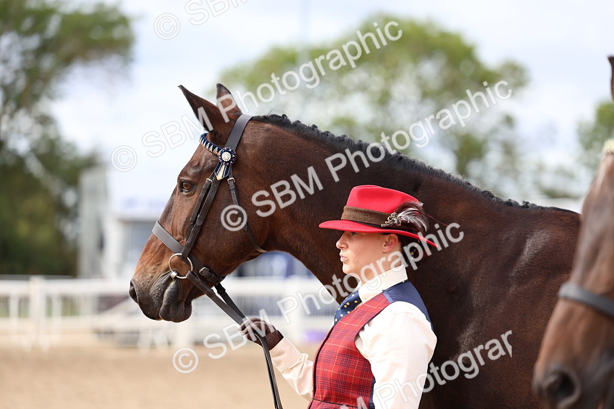 SBM_03972 - Class 25 - IH Foreign Breeds - Pure Bred