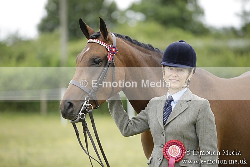 BVR160717-863 - Ring 2 BVRC Show 16/07/17