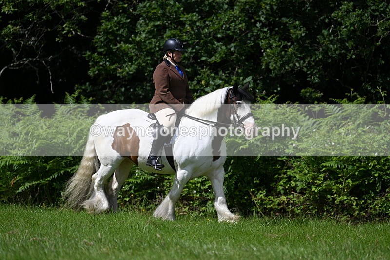 WJ7_1519 - Class 11 Condition & Turnout