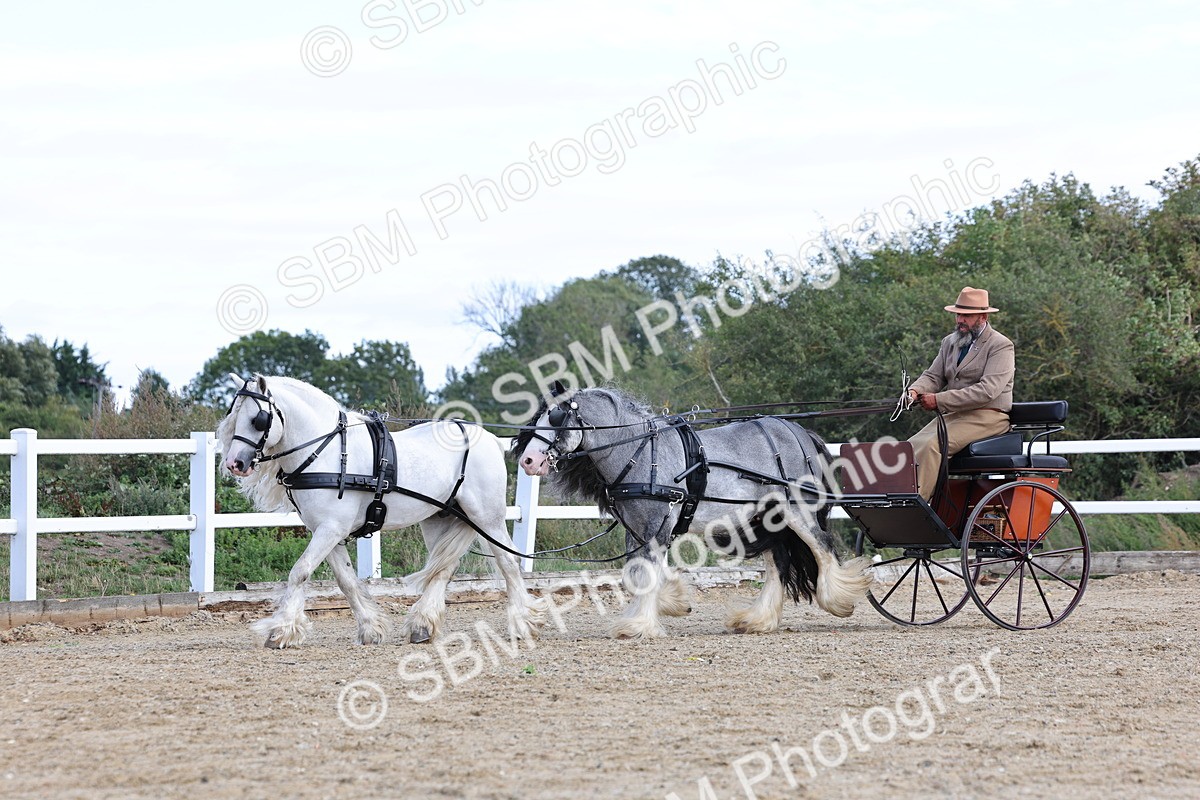 SBM_001183 - Class 16 - Pairs ,Multiples and Tandems