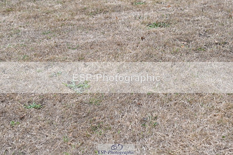 250820A-180026-12432 - Wednesday Presentations