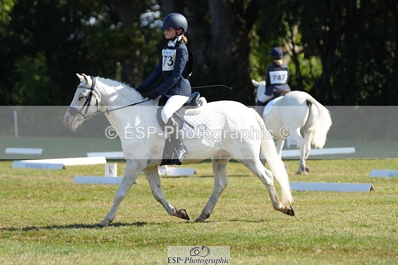 250823A-101535-26666 - Arena B