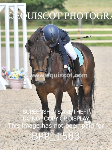 BPP_1583 - DERBY CLASS 3 - 40CM