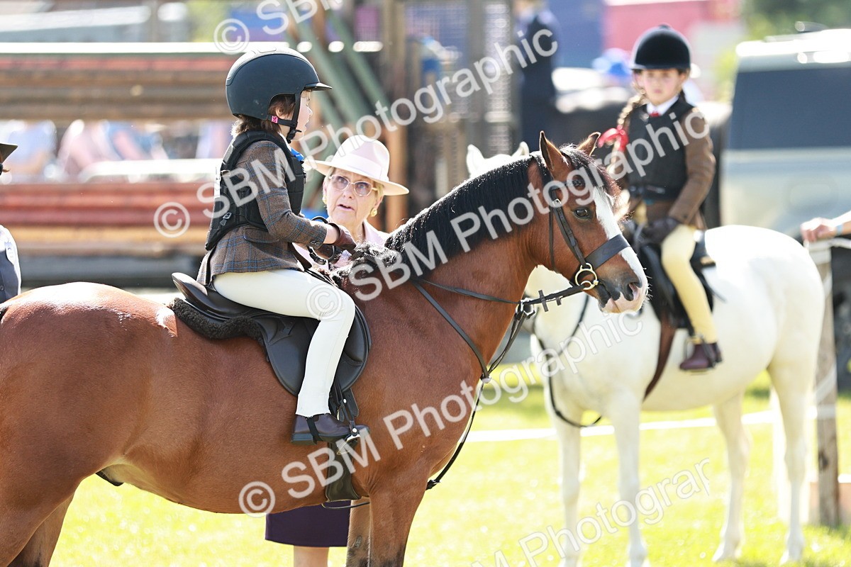 SBM_12728 - Class 106-107 - BSPS LIHS Working Sports Pony