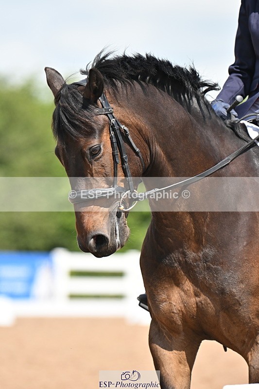 240621A-112344-01966 - Cls 4 BD Novice 22