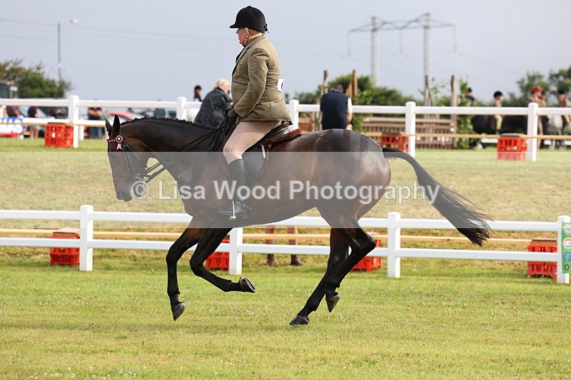 3E7A8108 - Class 2: Rising Star Large Hack/Riding Horse