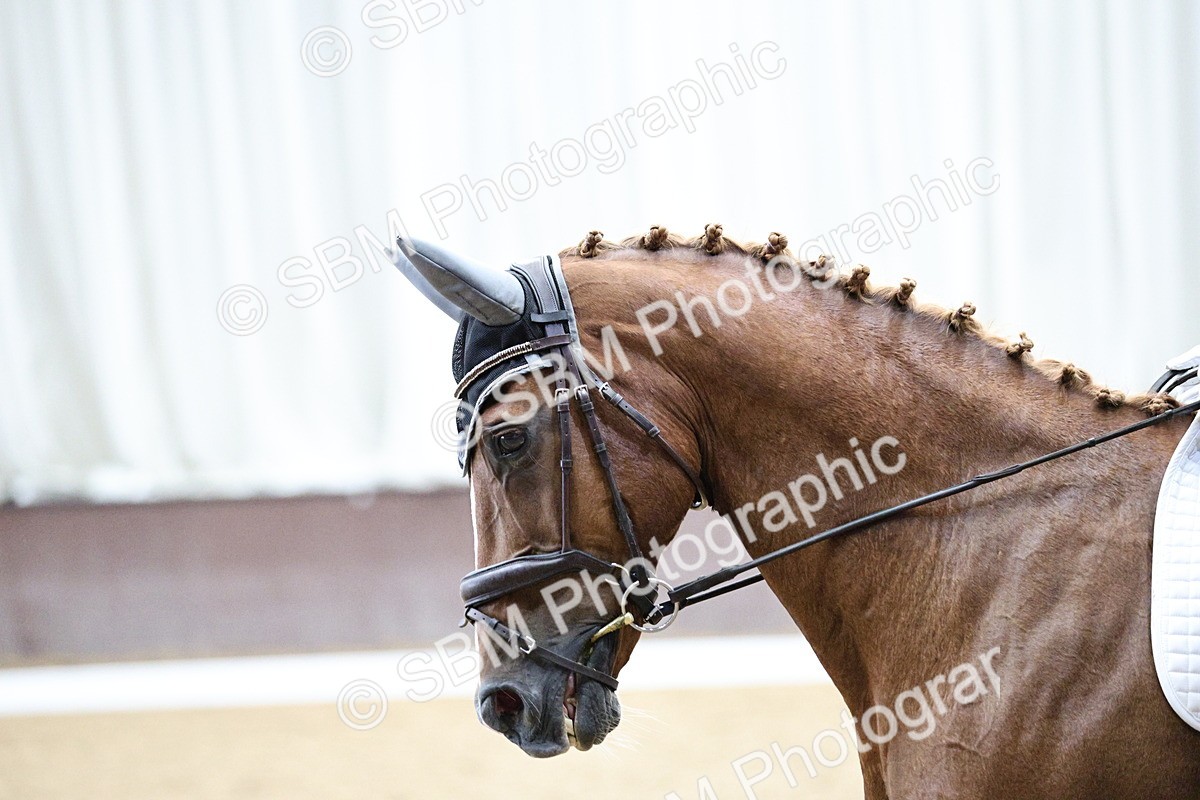 SBM_001267 - Class 5 - Novice 6