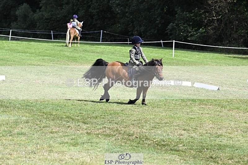 250822A-115653-22458 - DR 11.00 to 12.00