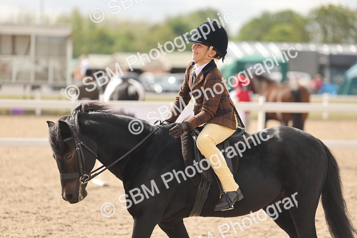 SBM_15906 - Class 310 - First Ridden Pony