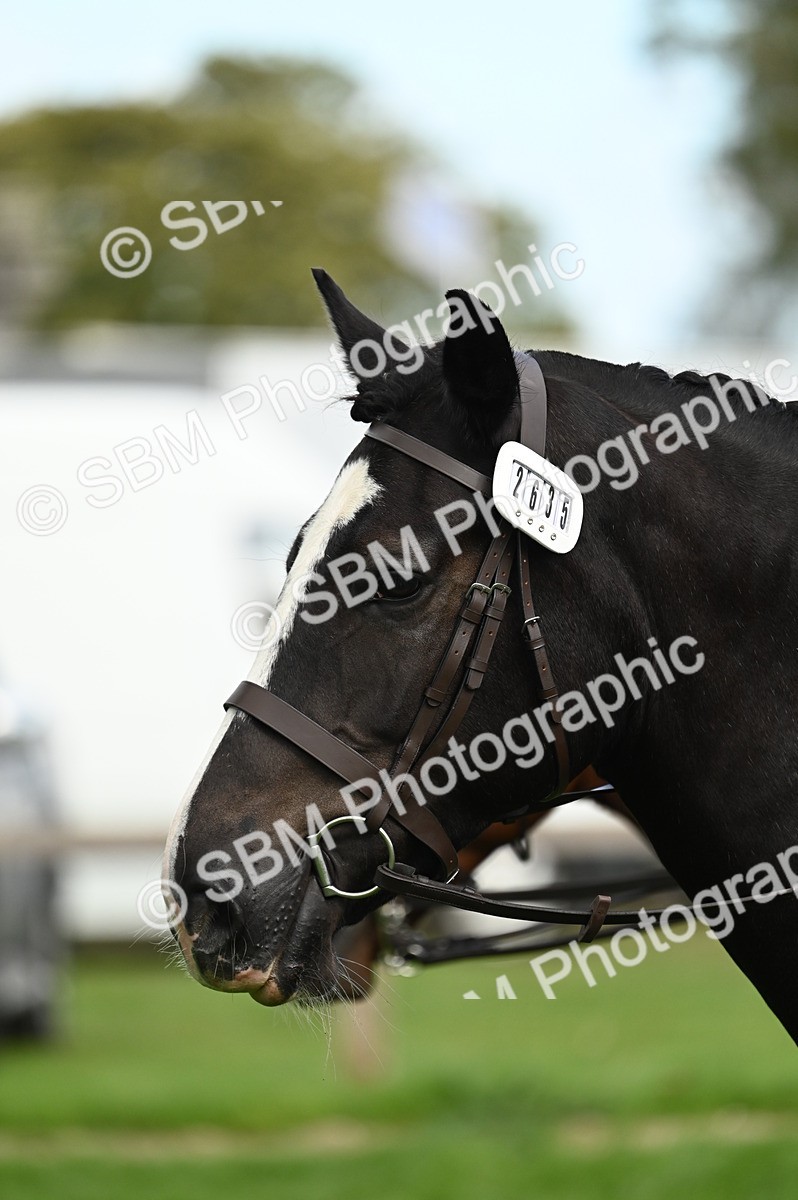 SBM_26390 - S6 - Novice & newcomer Ridden horse